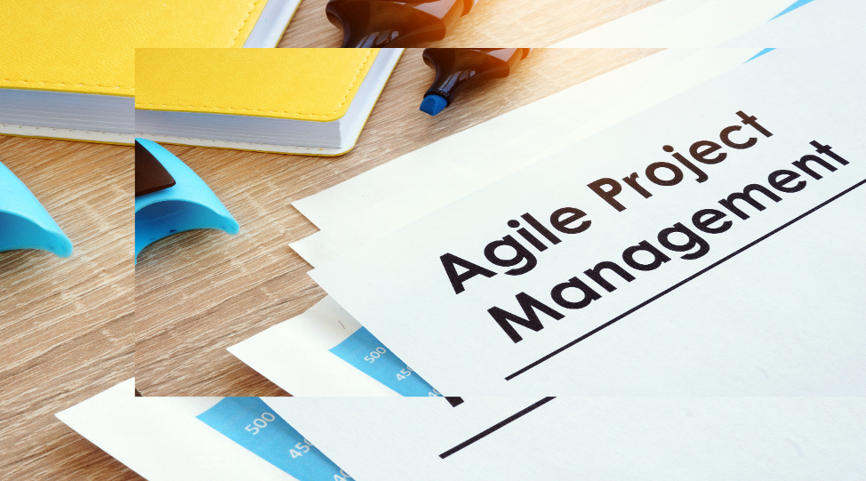 Agile Project Management Model: Navigating the Dynamics of Change